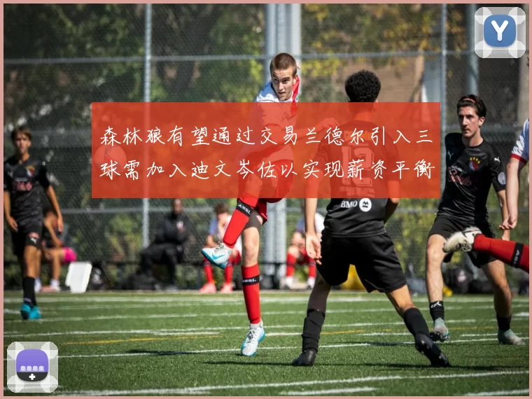 森林狼有望通过交易兰德尔引入三球需加入迪文岑佐以实现薪资平衡