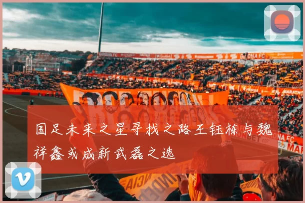 国足未来之星寻找之路王钰栋与魏祥鑫或成新武磊之选
